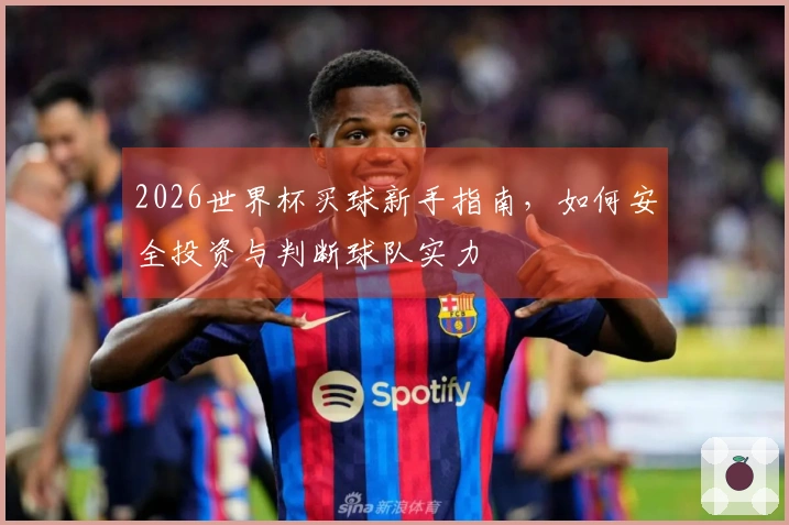 2026世界杯买球新手指南，如何安全投资与判断球队实力