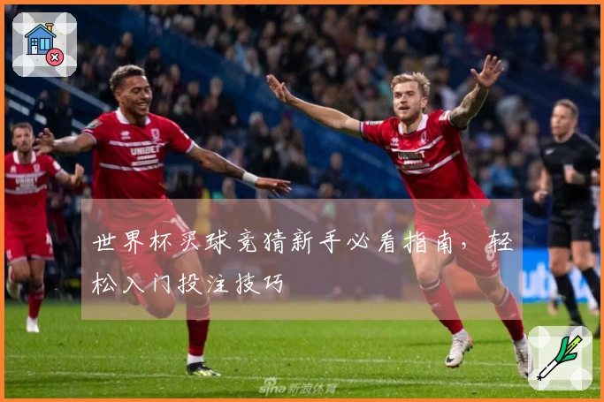 世界杯买球竞猜新手必看指南，轻松入门投注技巧