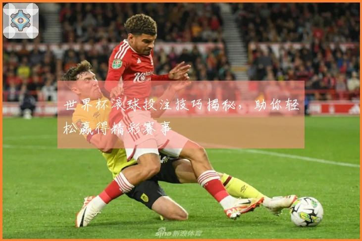 世界杯滚球投注技巧揭秘，助你轻松赢得精彩赛事