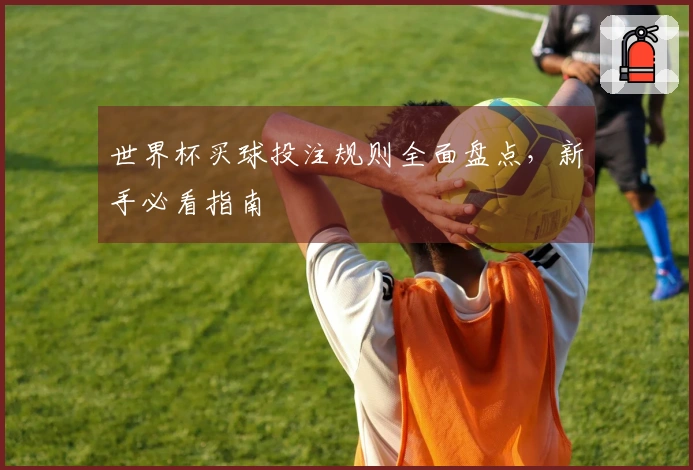 世界杯买球投注规则全面盘点，新手必看指南