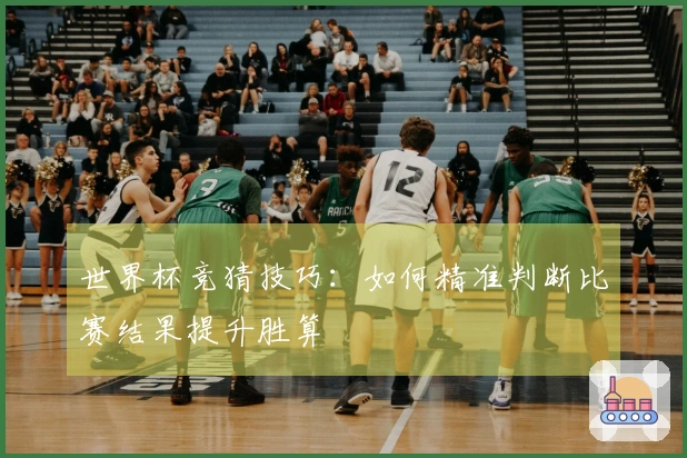 世界杯竞猜技巧：如何精准判断比赛结果提升胜算