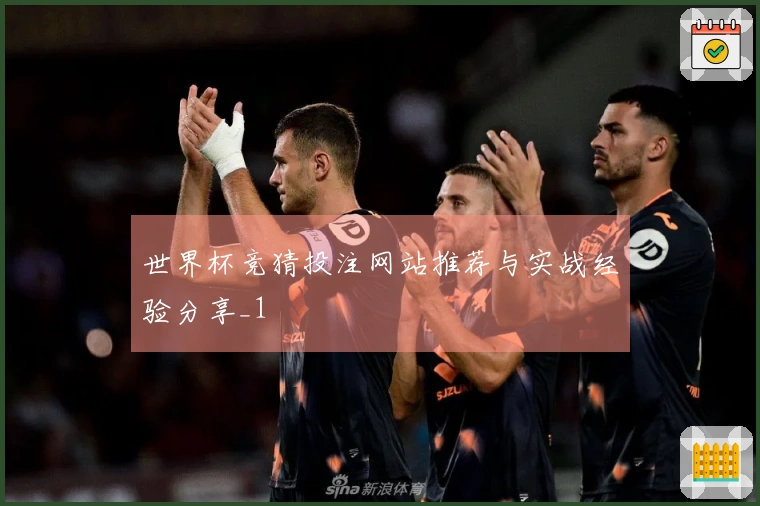 世界杯竞猜投注网站推荐与实战经验分享_1