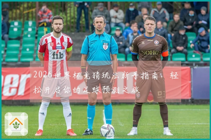 2026世界杯竞猜玩法新手指南，轻松开启你的足球预测之旅